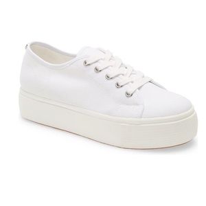 Steve Madden White Sneakers